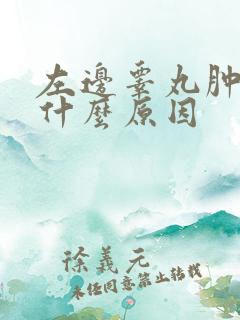 左边睾丸肿痛是什么原因