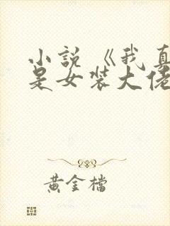 小说 《我真不是女装大佬》