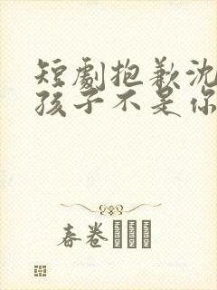 短剧抱歉沈先生孩子不是你的全集