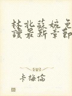 林北苏婉免费阅读最新章节