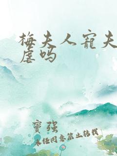 梅夫人宠夫日常虐吗