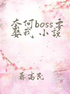 奈何boss要娶我 小说