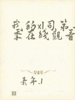 我的xl司第二季在线观看