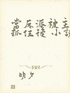 当反派被主角们抓住后 小说