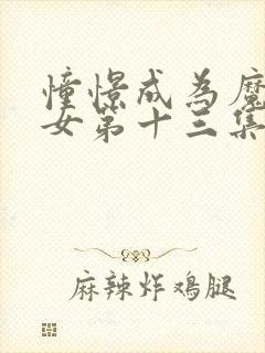 憧憬成为魔法少女第十三集