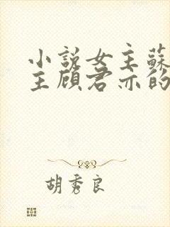 小说女主苏杳男主顾君亦的小说免费