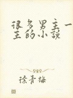 很多男主一个女主的小说