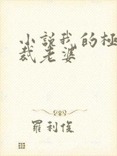 小说我的极品总裁老婆