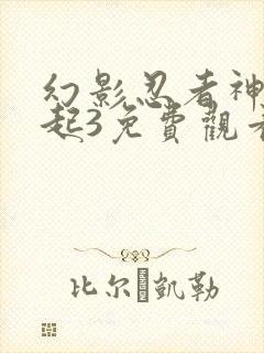 幻影忍者神龙崛起3免费观看高清