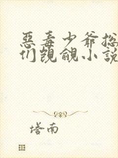 恶毒少爷总被弟们觊觎小说