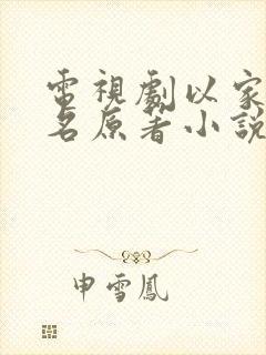 电视剧以家人之名原著小说