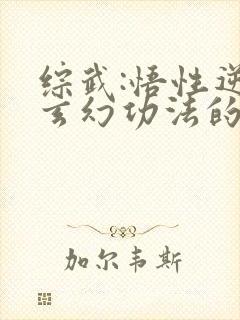 综武:悟性逆天玄幻功法的小说