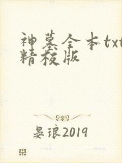 神墓全本txt精校版