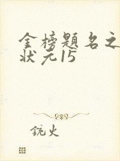 金榜题名之寒门状元15