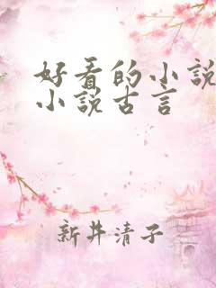好看的小说言情小说古言