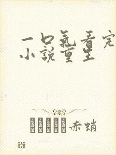 一口气看完爽文小说重生