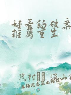 好看的破案小说推荐重生