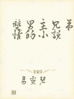 双男主兄弟变爱情的小说