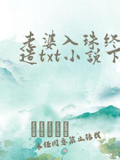 老婆入珠终极改造txt小说下载