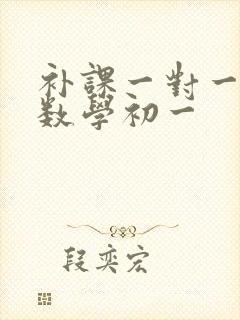 补课一对一初中数学初一