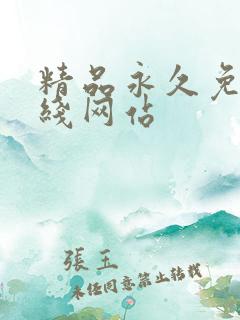 精品永久免费在线网站