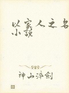 以家人之名原著小说