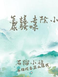 怎样去除小狗的尿骚味