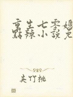 重生七零媳妇有点辣小说免费阅读