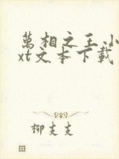 万相之王小说txt文本下载