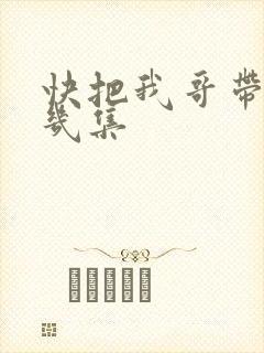 快把我哥带走有几集