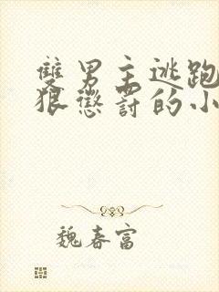 双男主逃跑被狠狠惩罚的小说