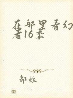 在哪里看幻影忍者16季