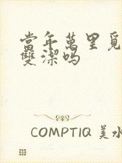 当年万里觅封侯双洁吗