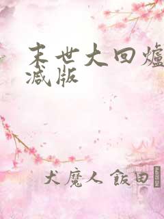 末世大回炉未删减版