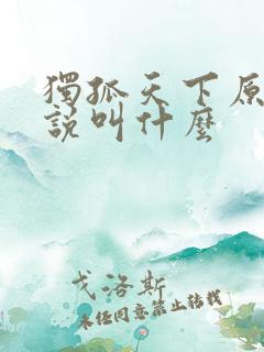 独孤天下原著小说叫什么