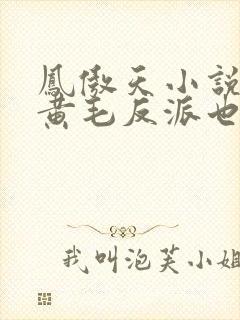 凤傲天小说里的黄毛反派也要幸福