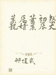 叶辰萧初然上门龙婿叶辰大结局