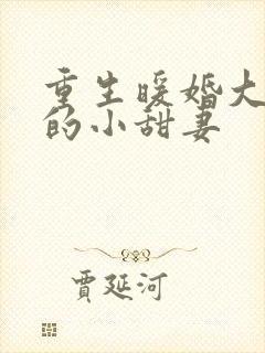 重生暖婚大财阀的小甜妻