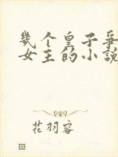 几个皇子争一个女主的小说