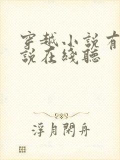 穿越小说有声小说在线听