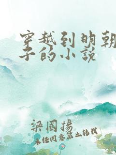 穿越到明朝当太子的小说