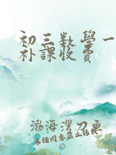 初三数学一对一补课收费