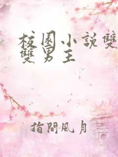 校园小说双学霸双男主