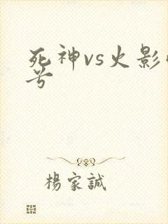 死神vs火影雨兮
