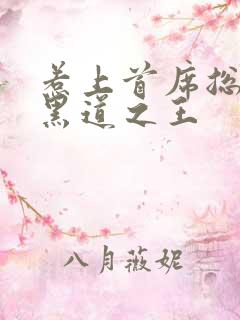 惹上首席总裁 黑道之王