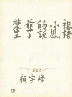 裴爷的小祖宗重生了说凤梧