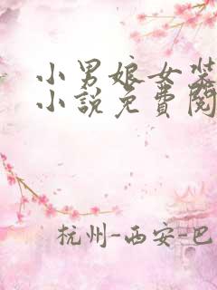 小男娘女装改造小说免费阅读