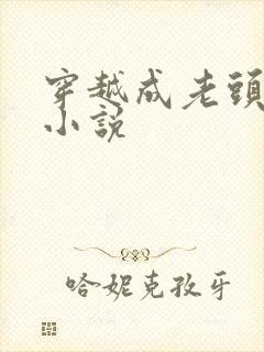 穿越成老头子的小说