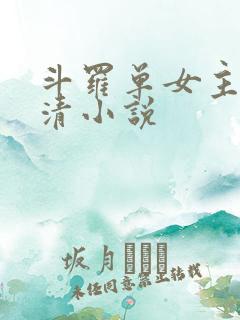 斗罗单女主朱竹清小说