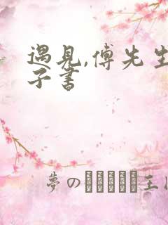 遇见,傅先生电子书